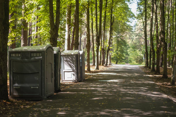 Best Affordable porta potty rental  in West Homestead, PA